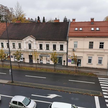 Apartment Trzaska With Free Parking Ljubljana Eksteriør bilde